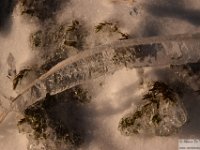 2025-12-27 Il Costone 083